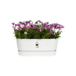 greenville pflanzgefäß 60cm rollen weiss